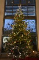 Weihnachtsbaum verzaubert unsere Cafeteria in Koblenz